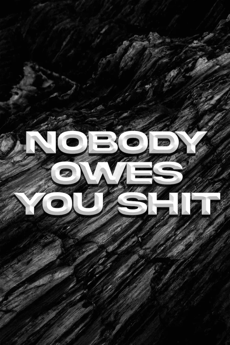 Nobody Owe’s You Shit’ Poster V4