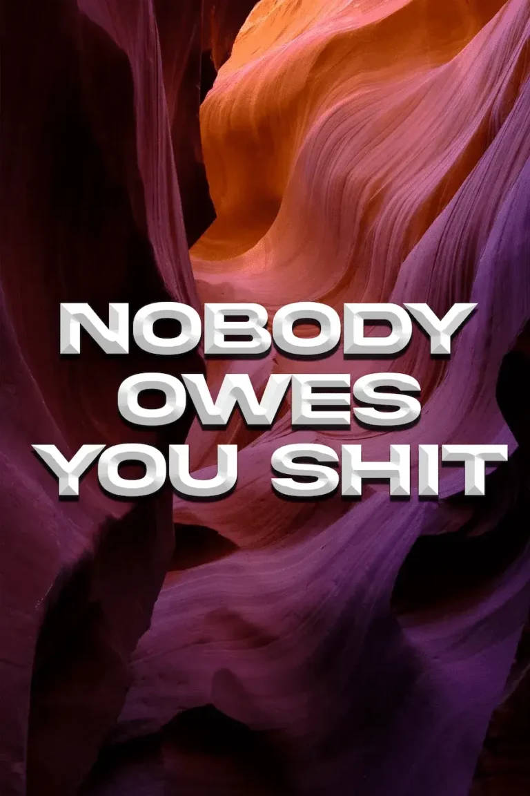Nobody Owe’s You Shit’ Poster V5