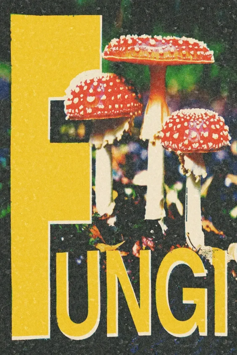 Fungi Poster