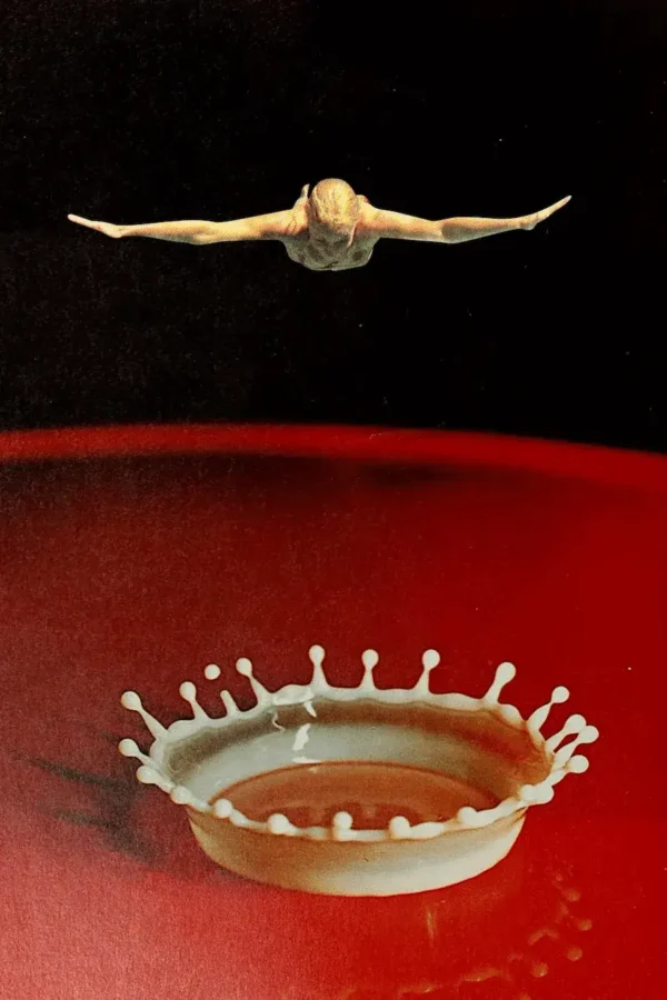 Dive’ Collage Poster